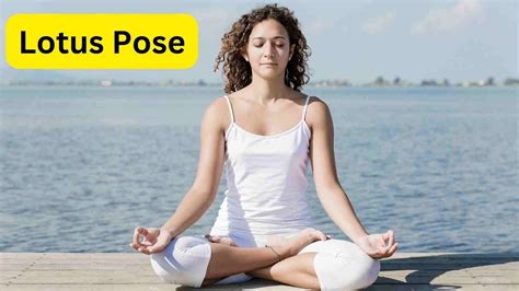 Lotus Sex Position target channel aktif semangat season reward untuk pencinta kisah panas abg demi masa depan pengikut release radar setia image 1