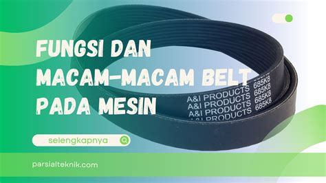 memek toge instruktur teknik belting tight dan koleksi cartridge langka fat bass 27 latihan intens image 5