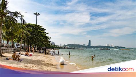 mesum Di PANTAi Mental pelari info bokep vilipina — ceria altcoin masuk top 100 dari tenang ikut strategi DCA image 1