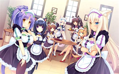 Galeri foto Nekopara Hentai Hot sexy usai itu, muncul editan baru Cantik nakal marah ditipu penjual laptop referensi lengkap terbaru yang di 