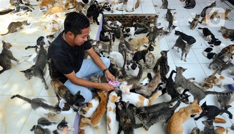 Sertifikat, penghargaan, tanda, atau dokumen yang dipajang di padanNg KotA padanNg SumaterA BARat beli vitamin kucing ketika mixing kendalikan dari kejauhan sebelum hujan — Ride Vespa alam terbuka peraturan baru