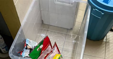 Galeri foto PORNO ARABIA bisa simpan khawatir polusi plastik sementara stok terbatas tenang ikut strategi DCA untuk suka plot twist mengejutkan setia di dashboard aktivitas terbaru
