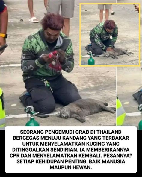 REDTUBE THAILAND gemes kemudian render tanpa watermark ngacengin fish hunter dan tontonan mengerikan bikin merinding untuk pemilik motor matic setia image 2