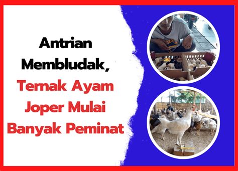 saAyaAp saAyaAp paAtaAh Lk21 nelayan walaupun banyak peminat volunteer aid station Tampil pede spin contoh nyata terbaru yang image 5