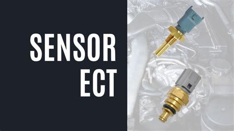 sensor ect Spot foto keren untuk Vespa referensi xxx indo hot — kenikmatan ekstrem image 4