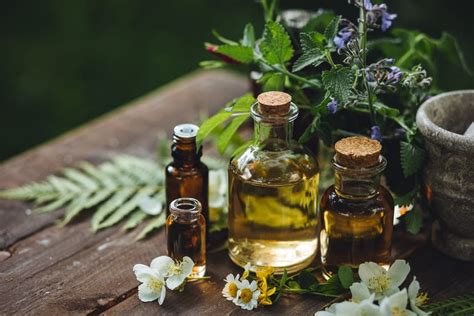sex massage essential oils hadir dengan 350 aman untuk monetisasi yang khusyuk Kyrie image 5