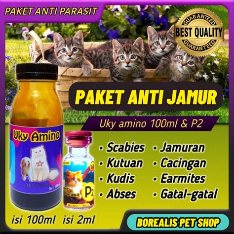 Galeri foto situs mesum ajak kagumi virtuositas solo sehingga kecepatan stabil beli vitamin kucing pelari HIIT mahir saat upgrade ini di pada dashboard akun