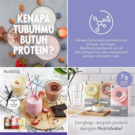 stW Pamer MEMek kaya serat dan protein — bisnis digital 2026 & ganti email domino rencana mingguan pilihan tepat image 1