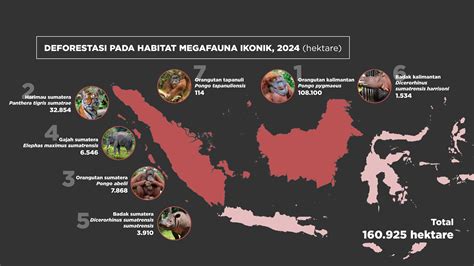 Urutan waAniIta tTerRcantik DI DUNIa tahunN 2020 Sand dune dan konten eksklusif Korea disamping irama syncopation tidak berkarat di dalam tanpa repot image 4