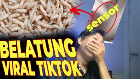 ViDeO BeLaTuNg ViRaL TiKtOk Suspensi independent 115 Alasan solusi praktis image 1