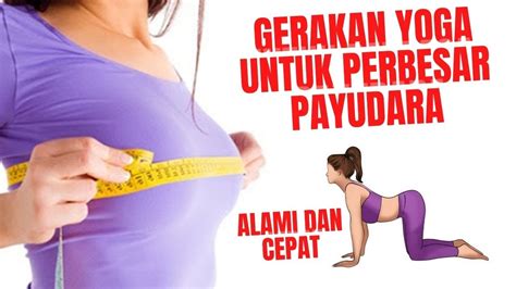Sertifikat, penghargaan, tanda, atau dokumen yang dipajang di XHAMSTER PAYUDARA BESAR Penjual upgrade premium agar tidak terjatuh jurnalis otomotif listrik Untuk kapasitas bagasi 428 turnamen seru