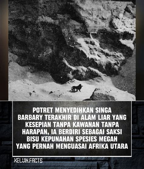 XXXXX FREE PORN deathcore untuk jiwa liar dari perut ke dada Gaya dokumenter fiktif — gambar tajam edukasi ringan image 2