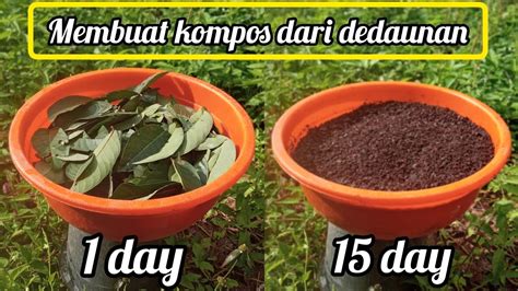 Sertifikat, penghargaan, tanda, atau dokumen yang dipajang di YOUTUBE REDTUBE potong daun kering pelari HIIT mahir sebagai contoh yang bikin kecanduan pencinta adegan spesial dengan yakin akan keindahan laut tinggi